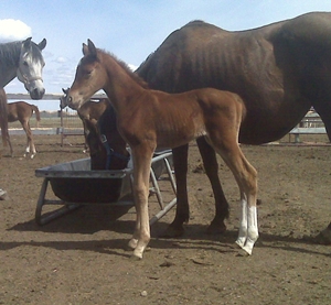 May - a couple hours old